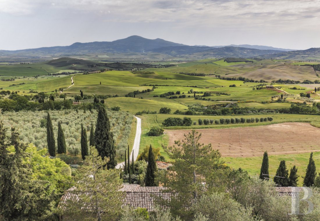 An old olive grove farmhouse restored to its former glory, overlooking the countryside in the Val d'Orcia in Tuscany - photo  n°2